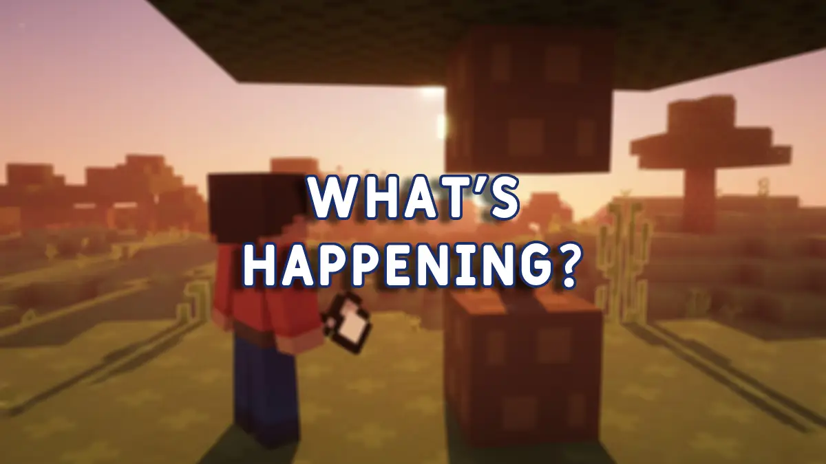 What's Happening Feature